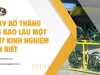 Thay Bố Thắng VF5 Bao Lâu Một Lần? Kinh Nghiệm Cần Biết