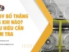 Thay Bố Thắng VF5 Khi Nào? Dấu Hiệu Cần Kiểm Tra