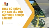 Thay Bố Thắng VF5 Bao Lâu Một Lần? Kinh Nghiệm Cần Biết