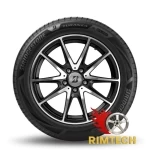 Lốp BRIDGESTONE 255/35R19